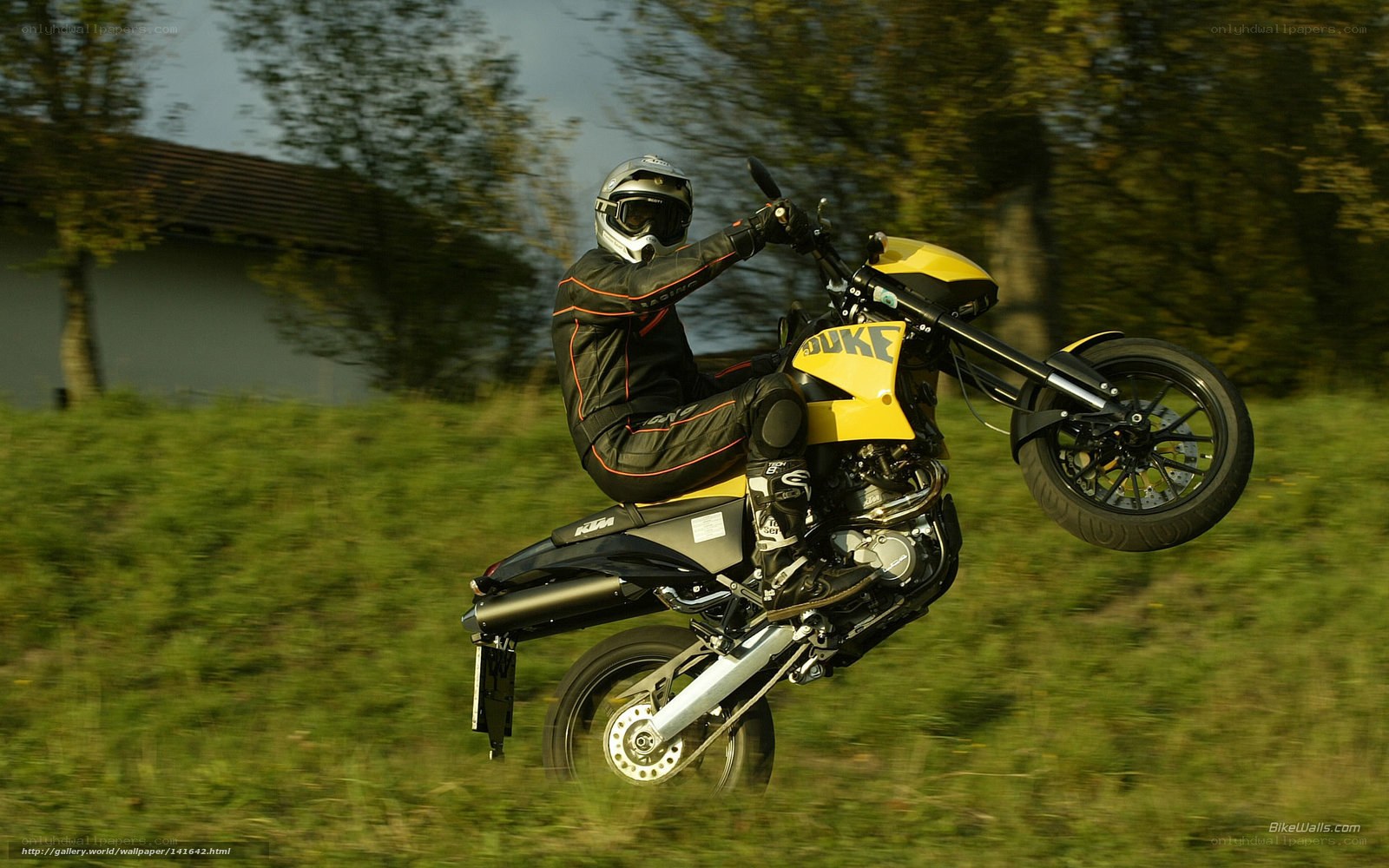 motorcycle rider performing wheelie