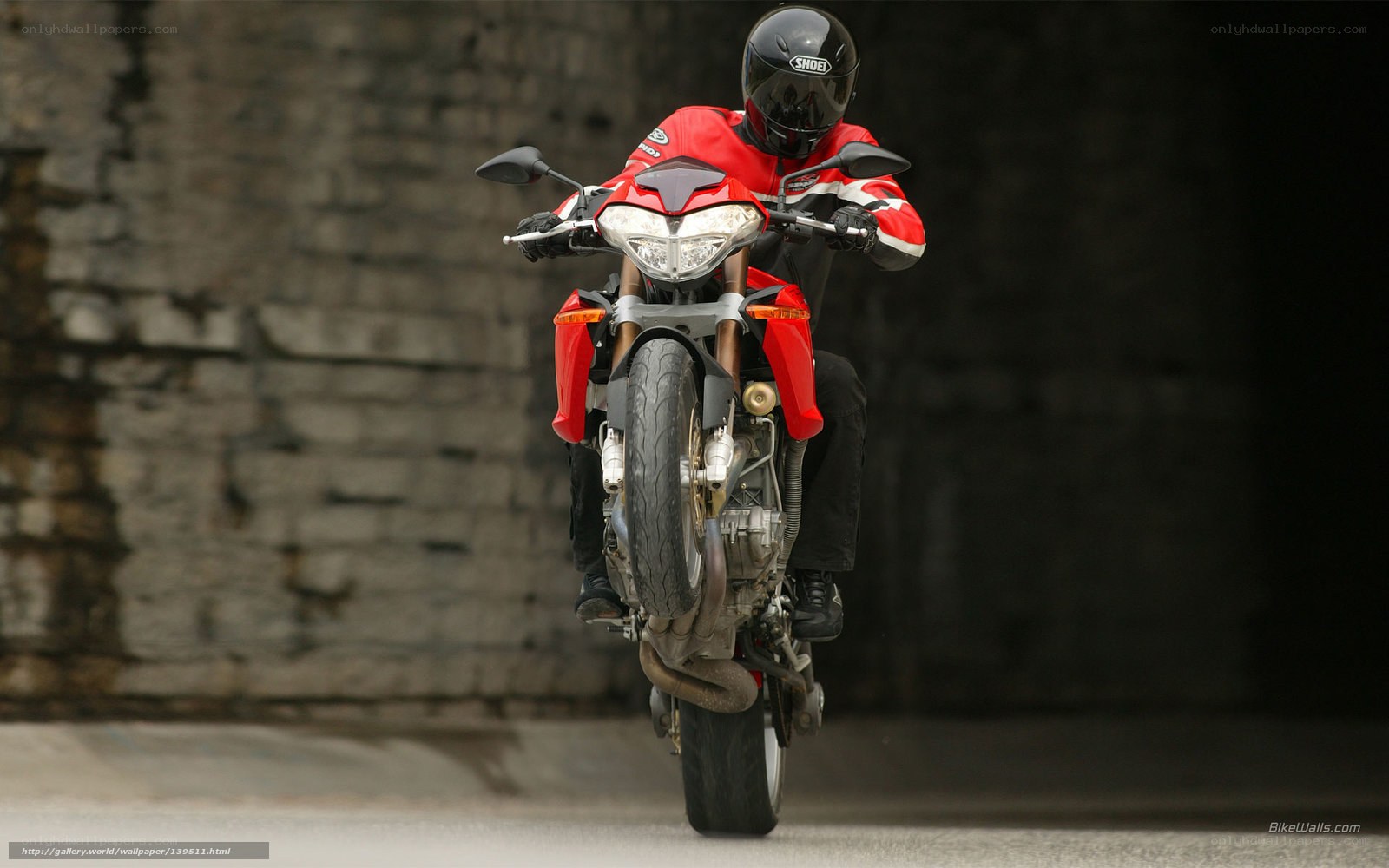 motorcycle rider performing wheelie