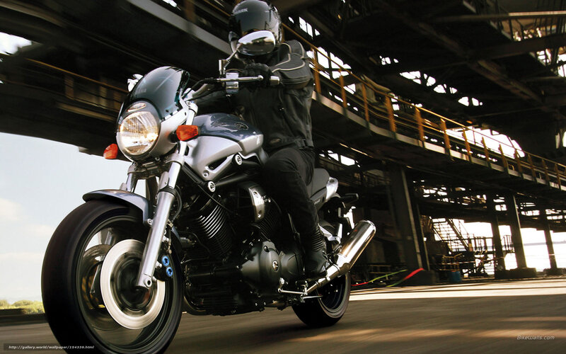Motorcycle rider under bridge