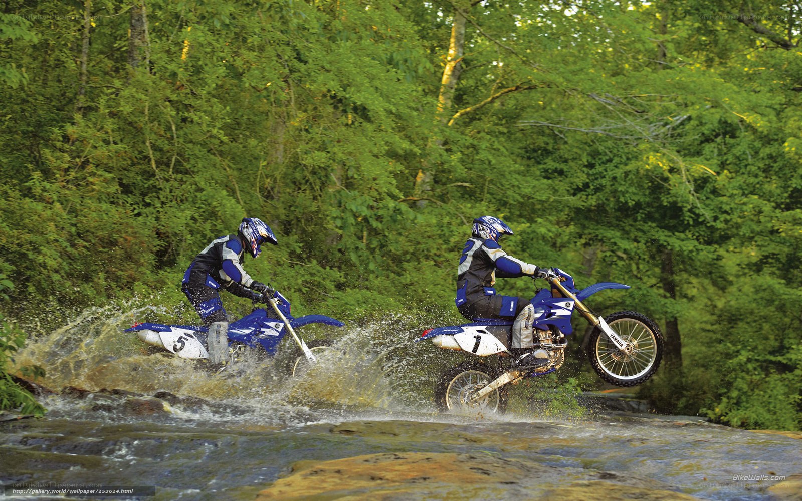 Motorcycle riders crossing a stream