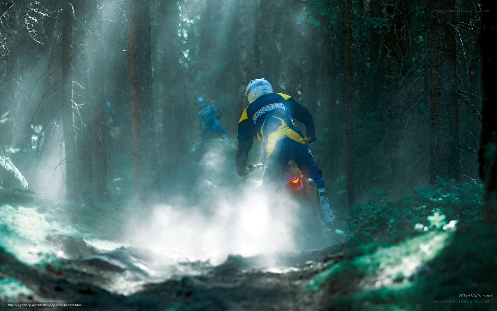 Motorcycle riders in forest