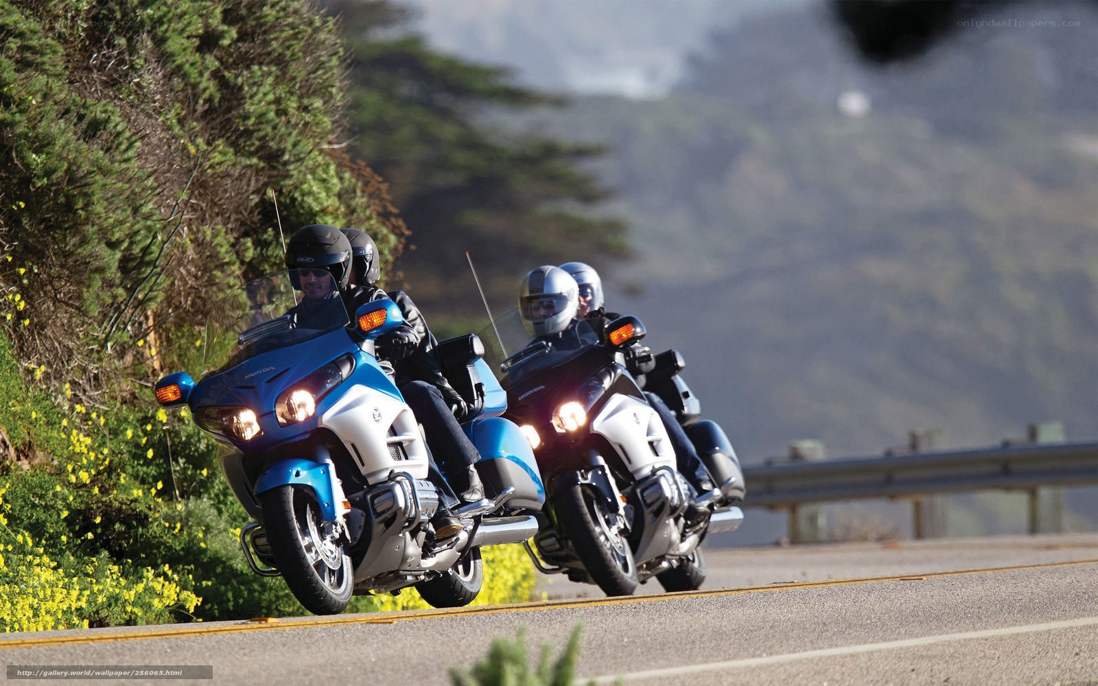 Motorcycle riders on a coastal road
