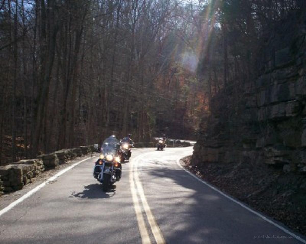 Motorcycle riders on a forest road