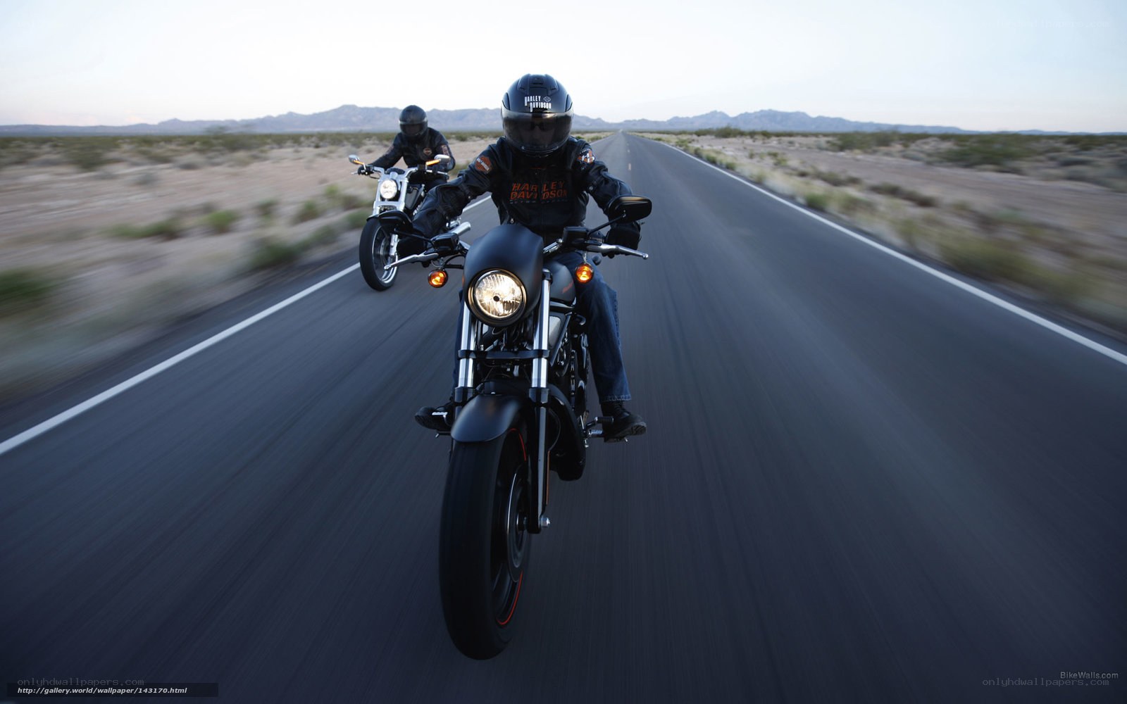 Motorcycle riders on desert road