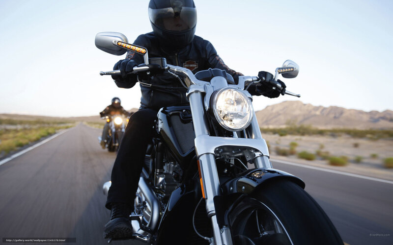 Motorcycle Riders on Road — Black, Open