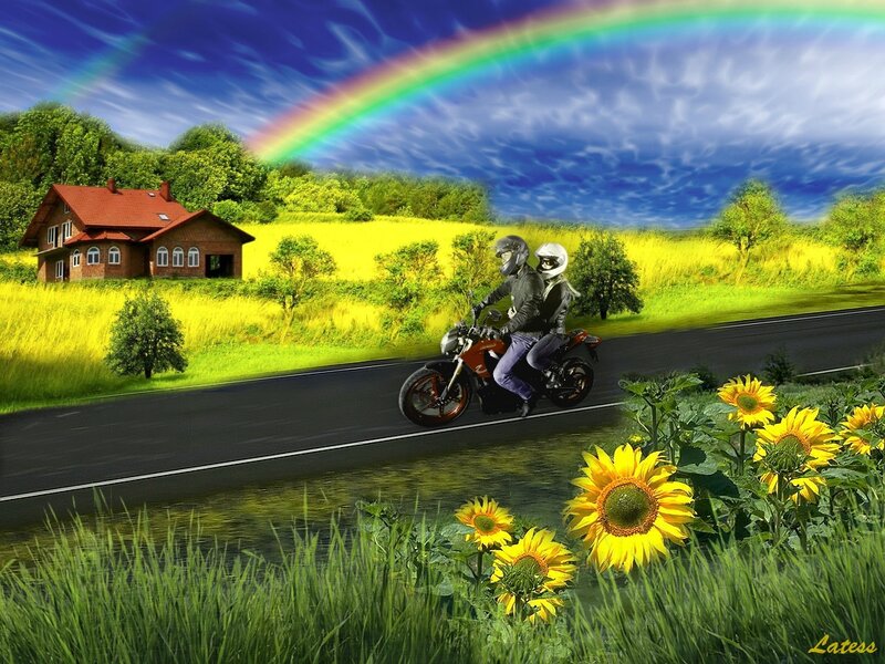 Motorcycle Riders on Road — Green, Serene
