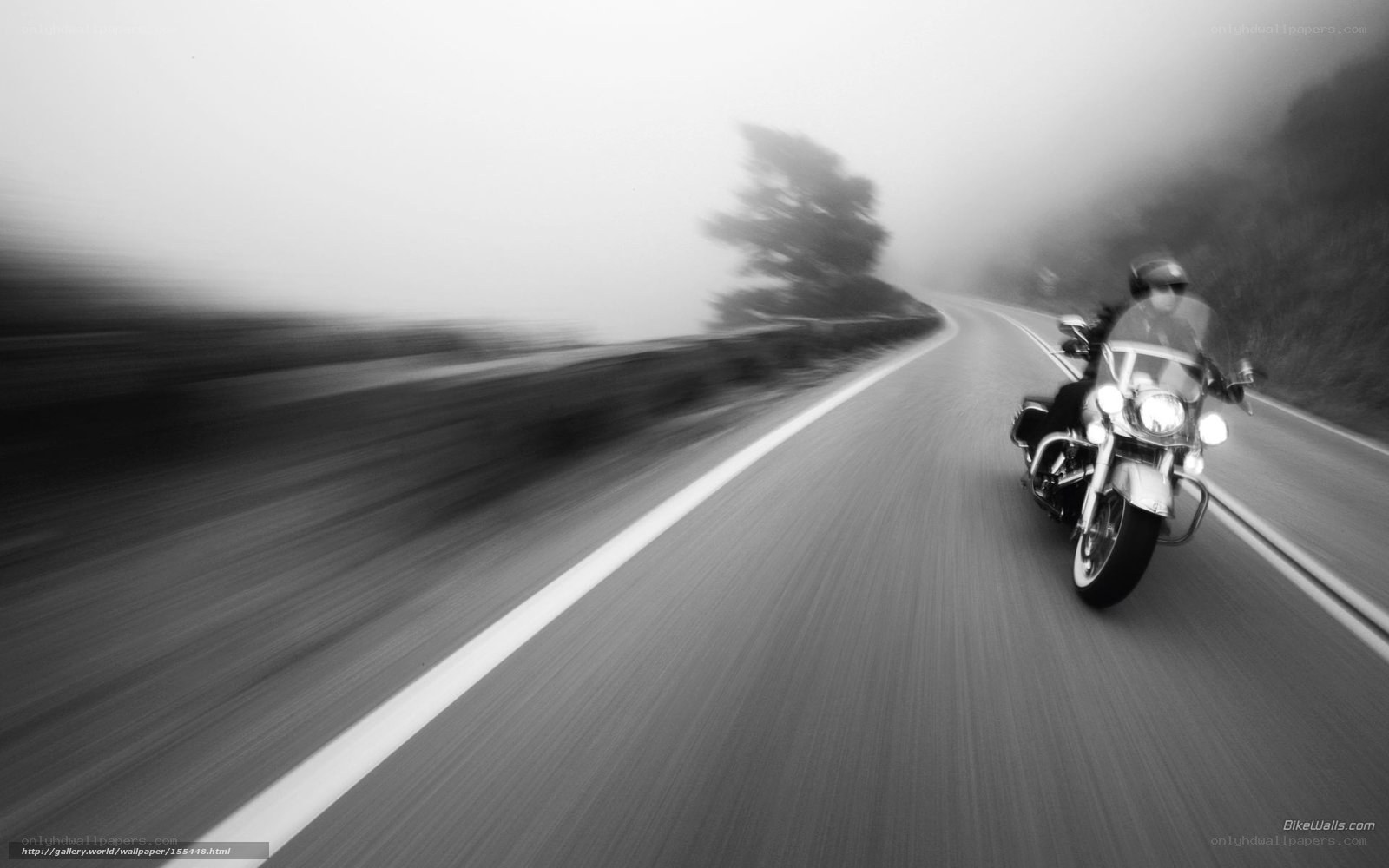 Motorcycle riding on a foggy road