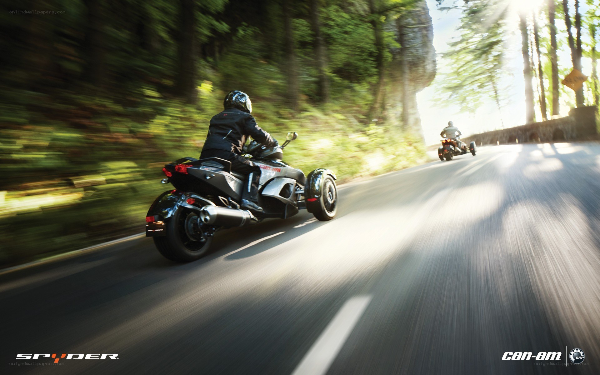 Motorcycle riding on forest road