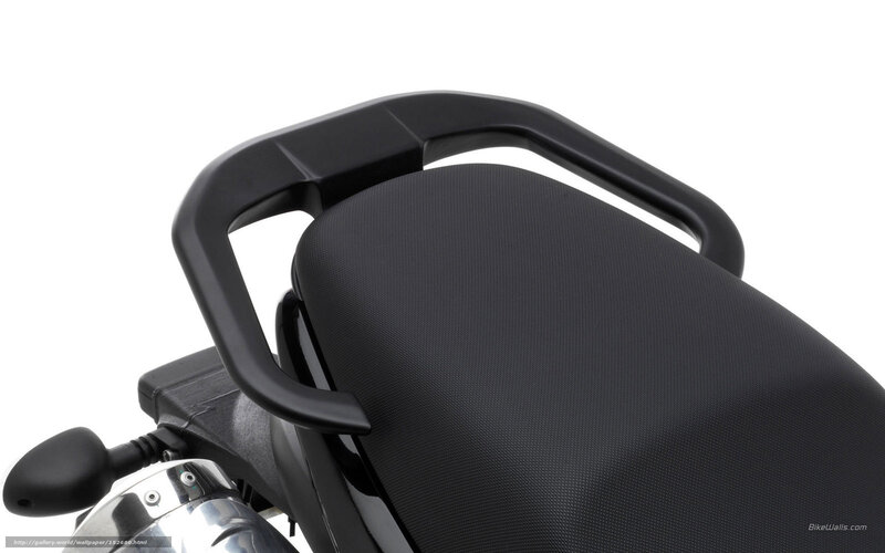 motorcycle seat and grab bar