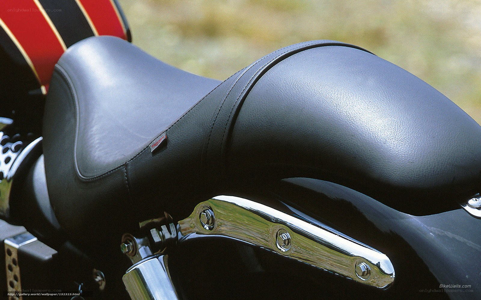 motorcycle seat close-up