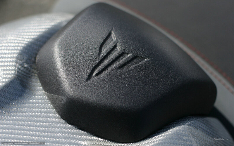 motorcycle seat emblem close-up