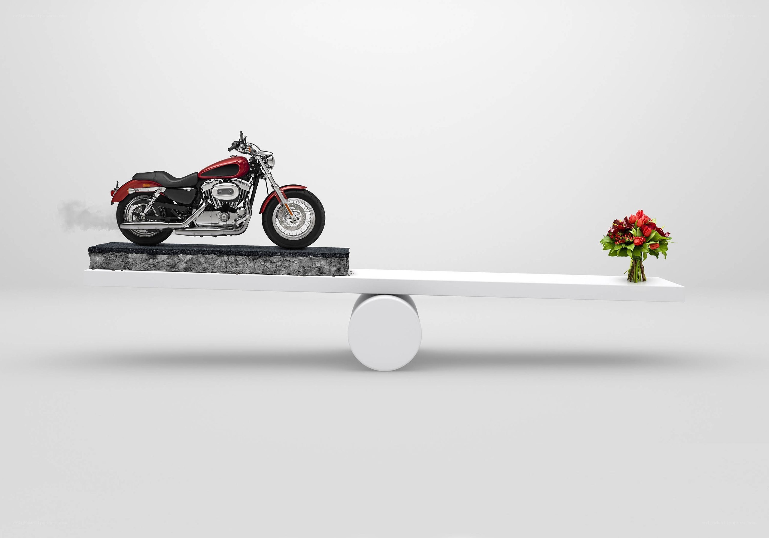 Motorcycle vs flowers on seesaw