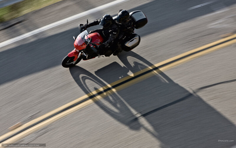 Motorcycle with Riders — Gray