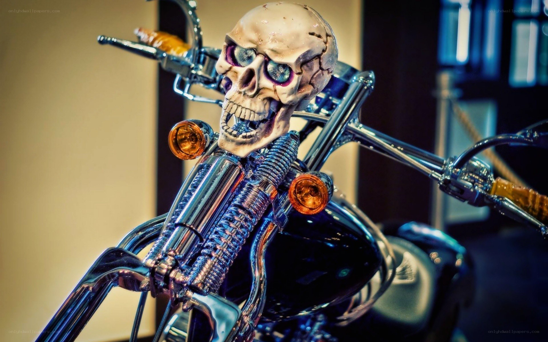 motorcycle with skull decoration
