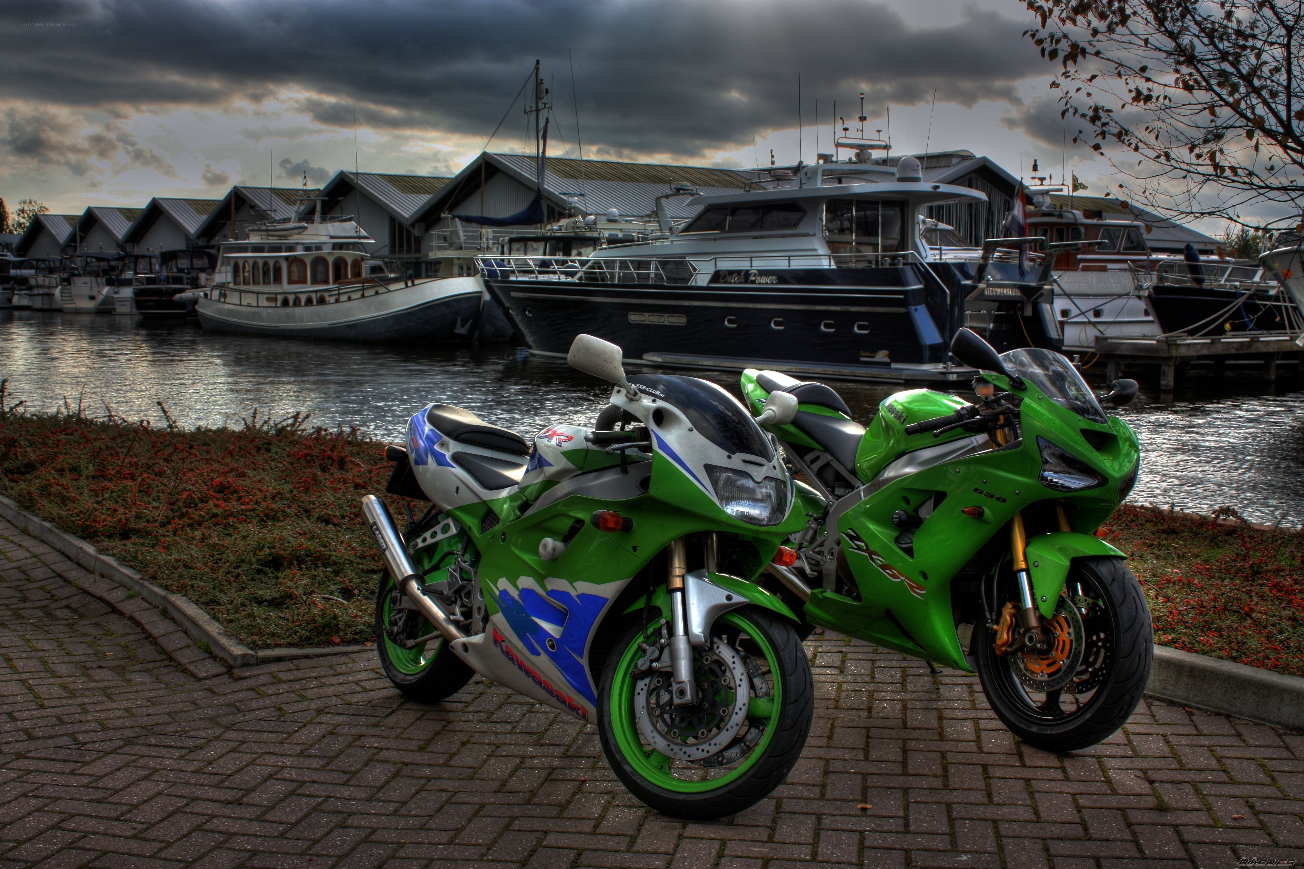 Motorcycles at a marina