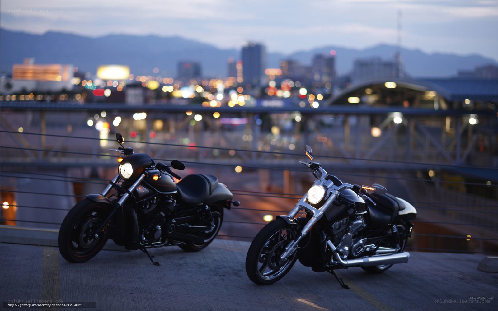Motorcycles at dusk with city view