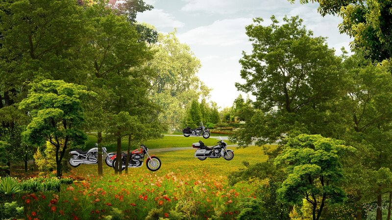 Motorcycles in a Field