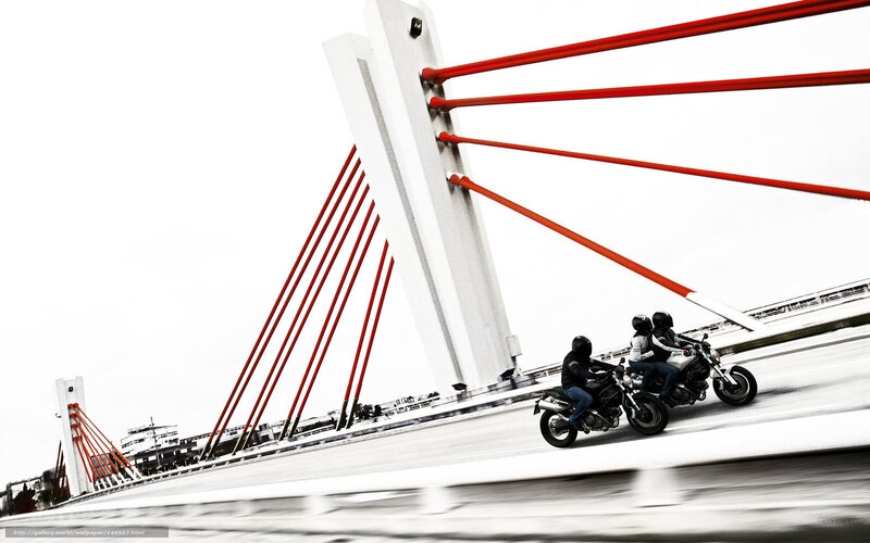 Motorcycles on a cable-stayed bridge