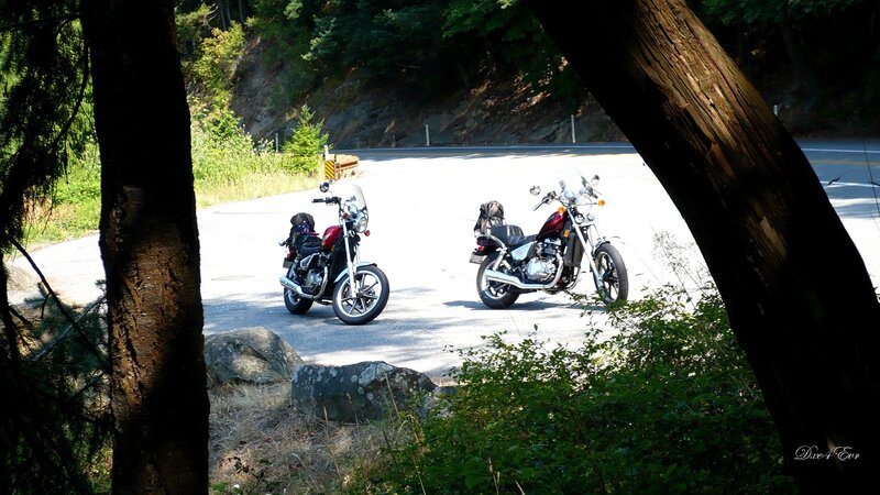 Motorcycles on a forest road