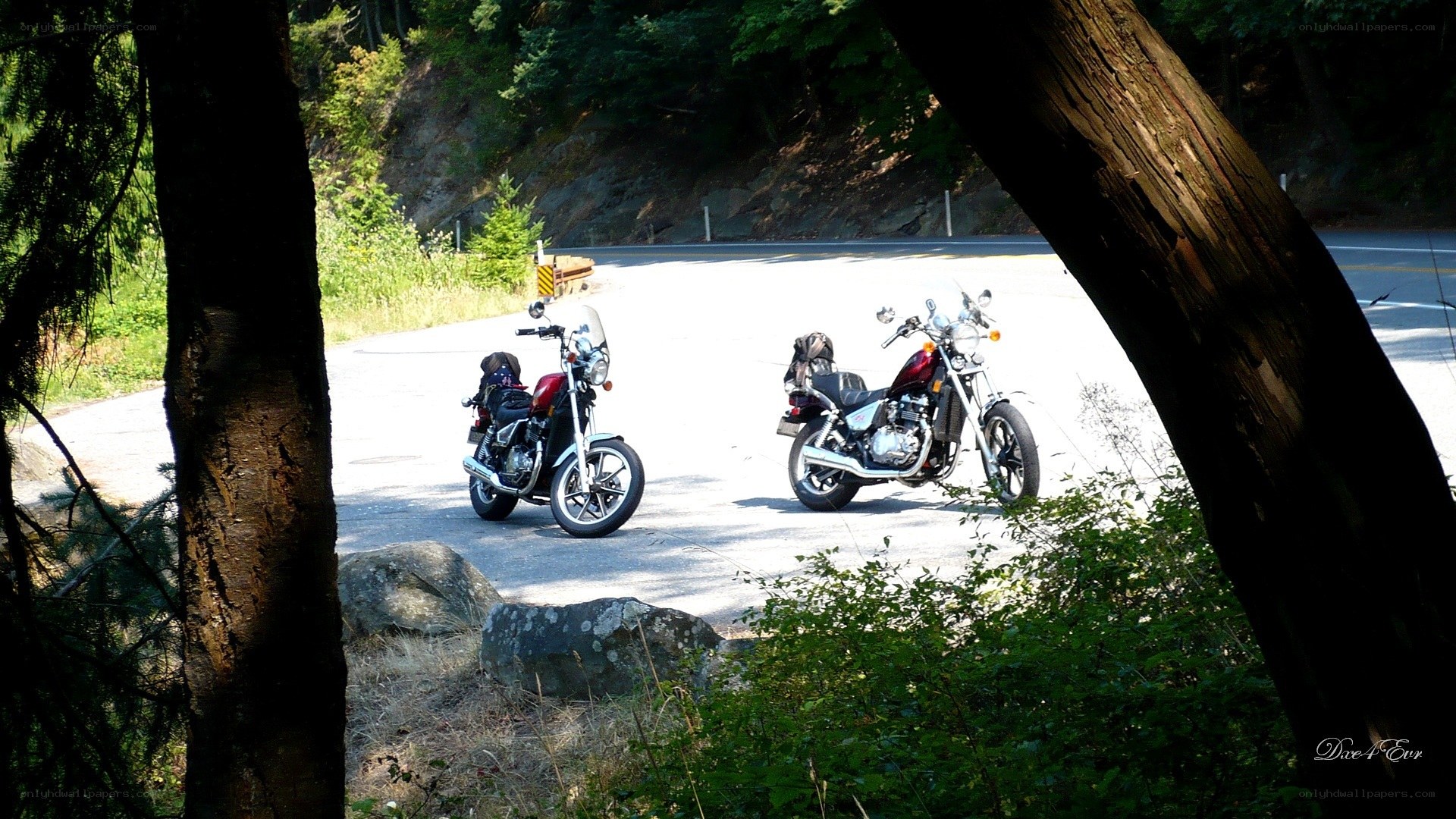Motorcycles on a forest road