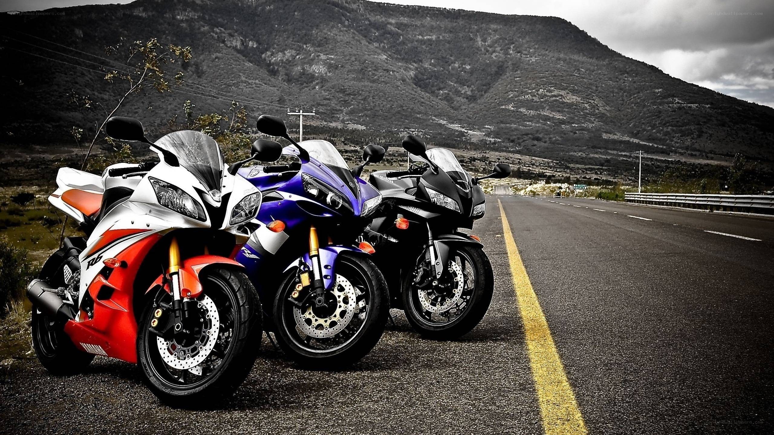 Motorcycles on a mountain road