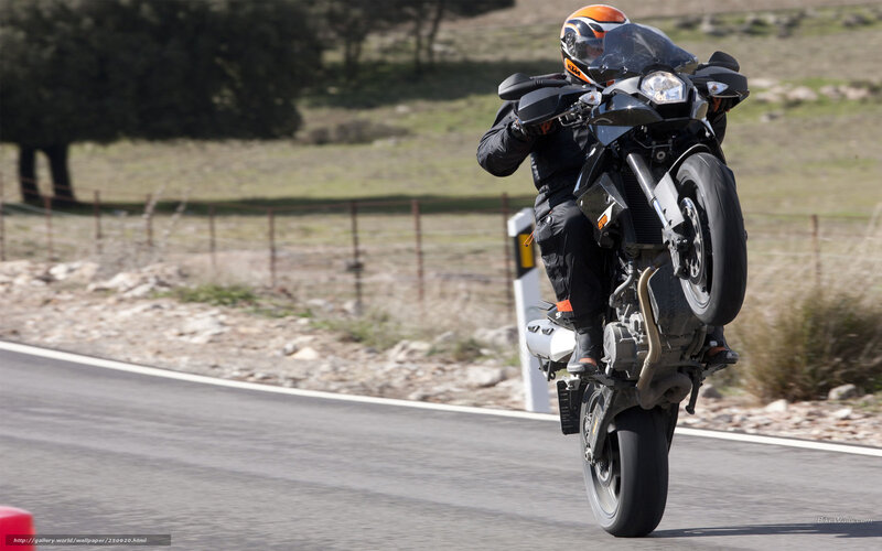 Motorcyclist Doing Wheelie — Black, Dynamic, Afternoon