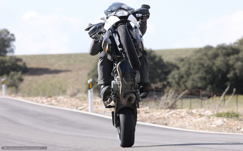 Motorcyclist Doing Wheelie — Gray