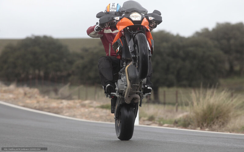 Motorcyclist Doing Wheelie — Orange, Dynamic, Photograph