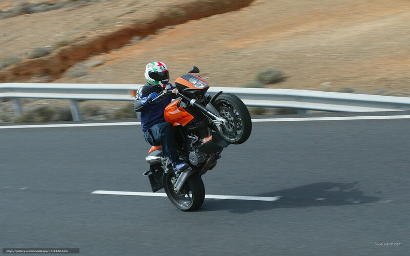 Motorcyclist Doing Wheelie — Orange, Dynamic