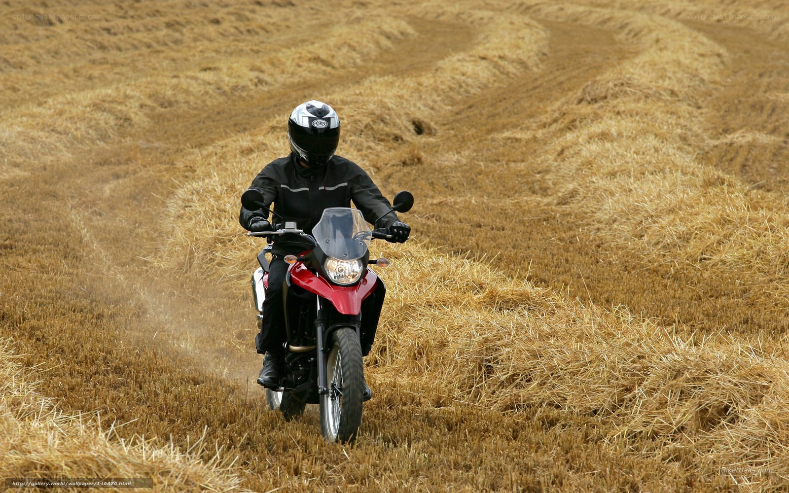 Motorcyclist in a field