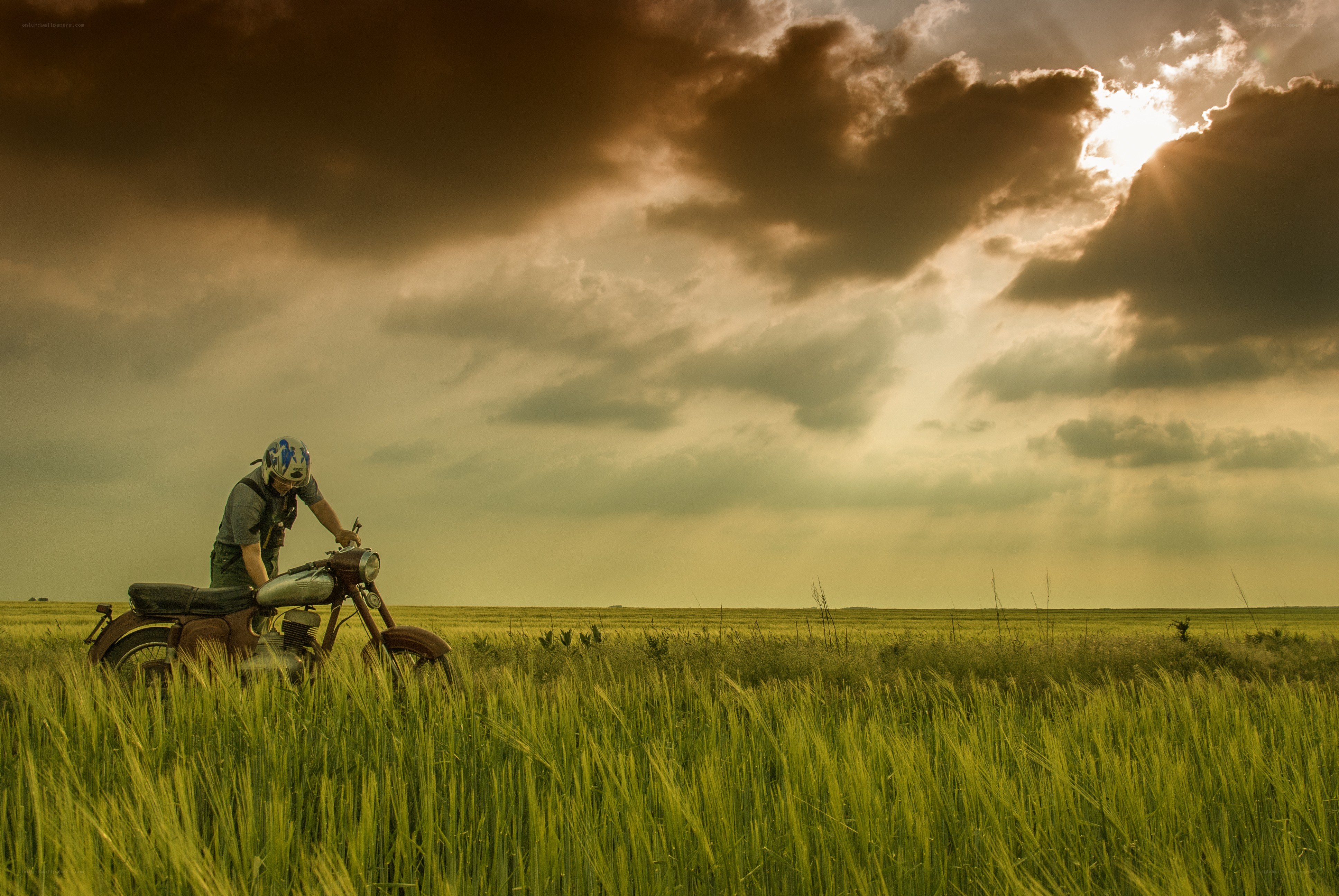 Motorcyclist in a wheat field