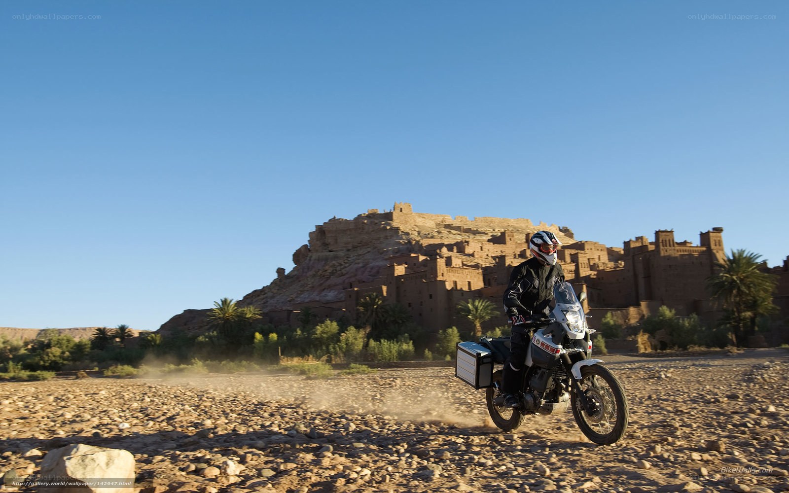 Motorcyclist in desert landscape