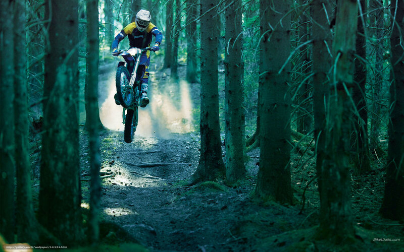 Motorcyclist in Forest