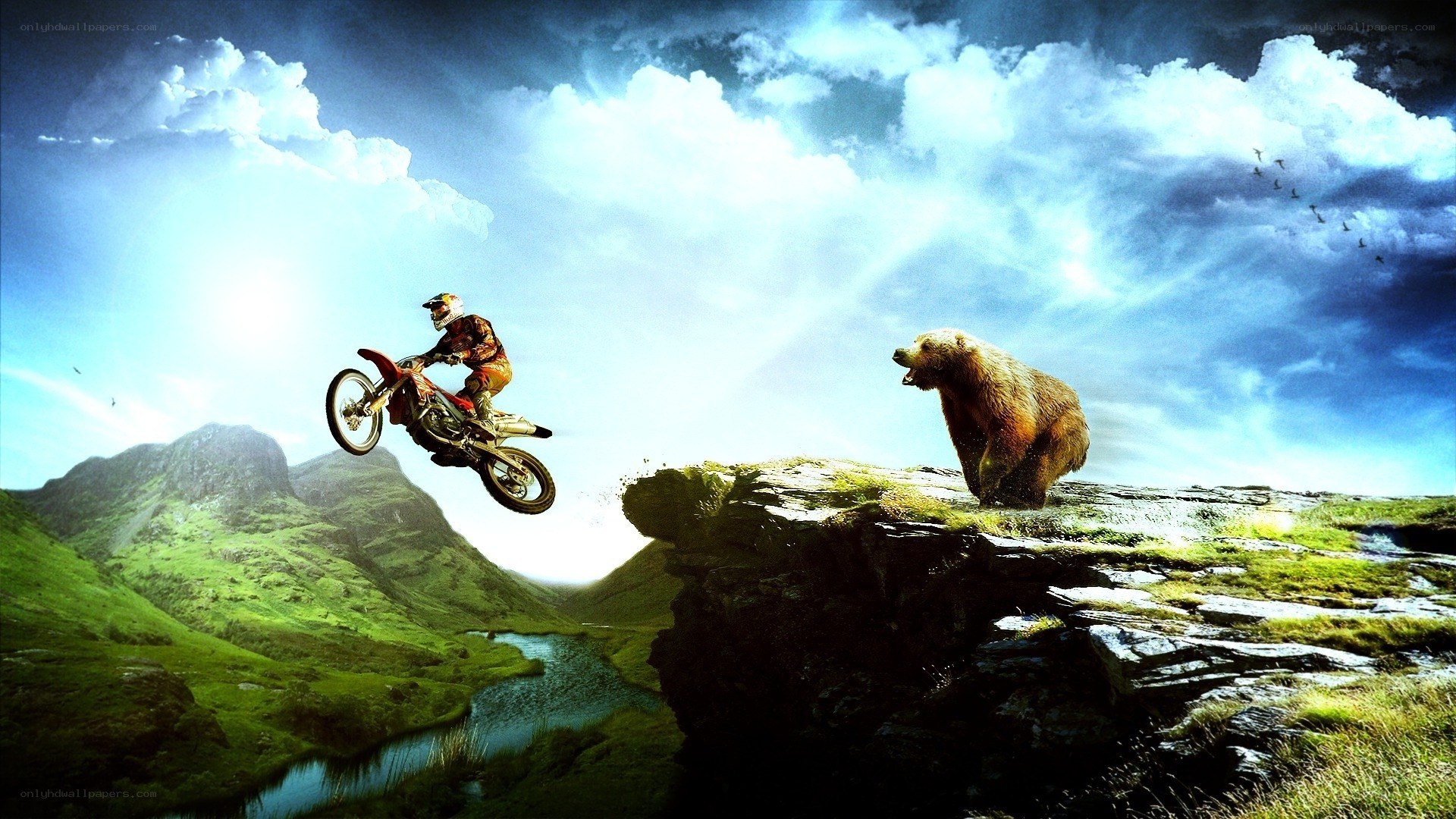 Motorcyclist jumps over bear