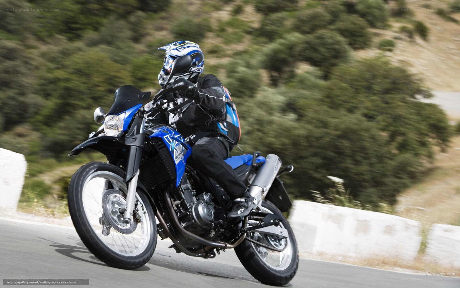 motorcyclist on a blue bike