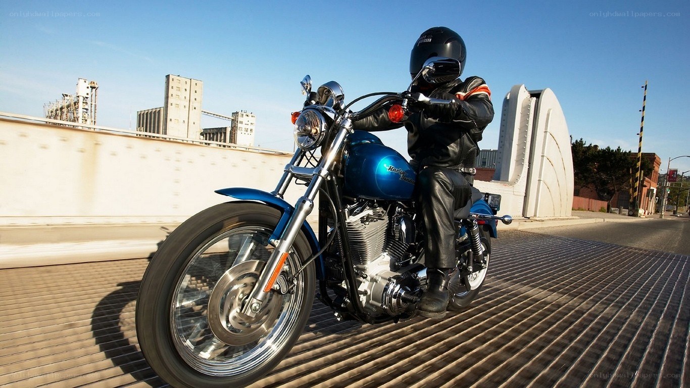 Motorcyclist on a bridge