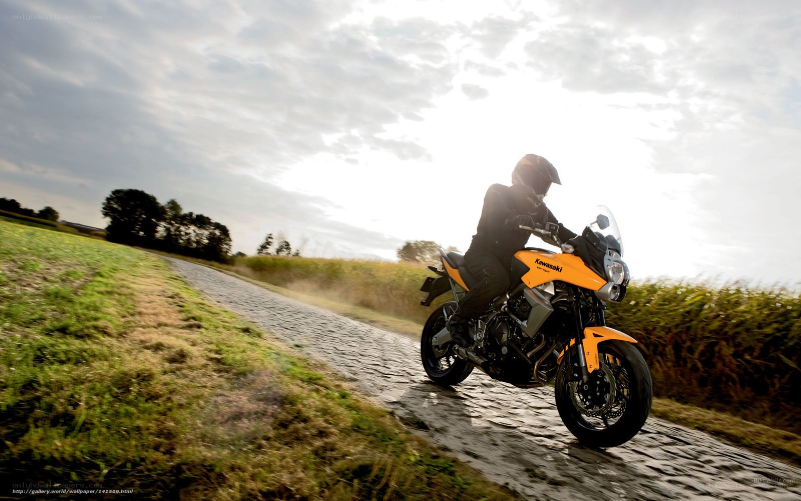 Motorcyclist on a country road