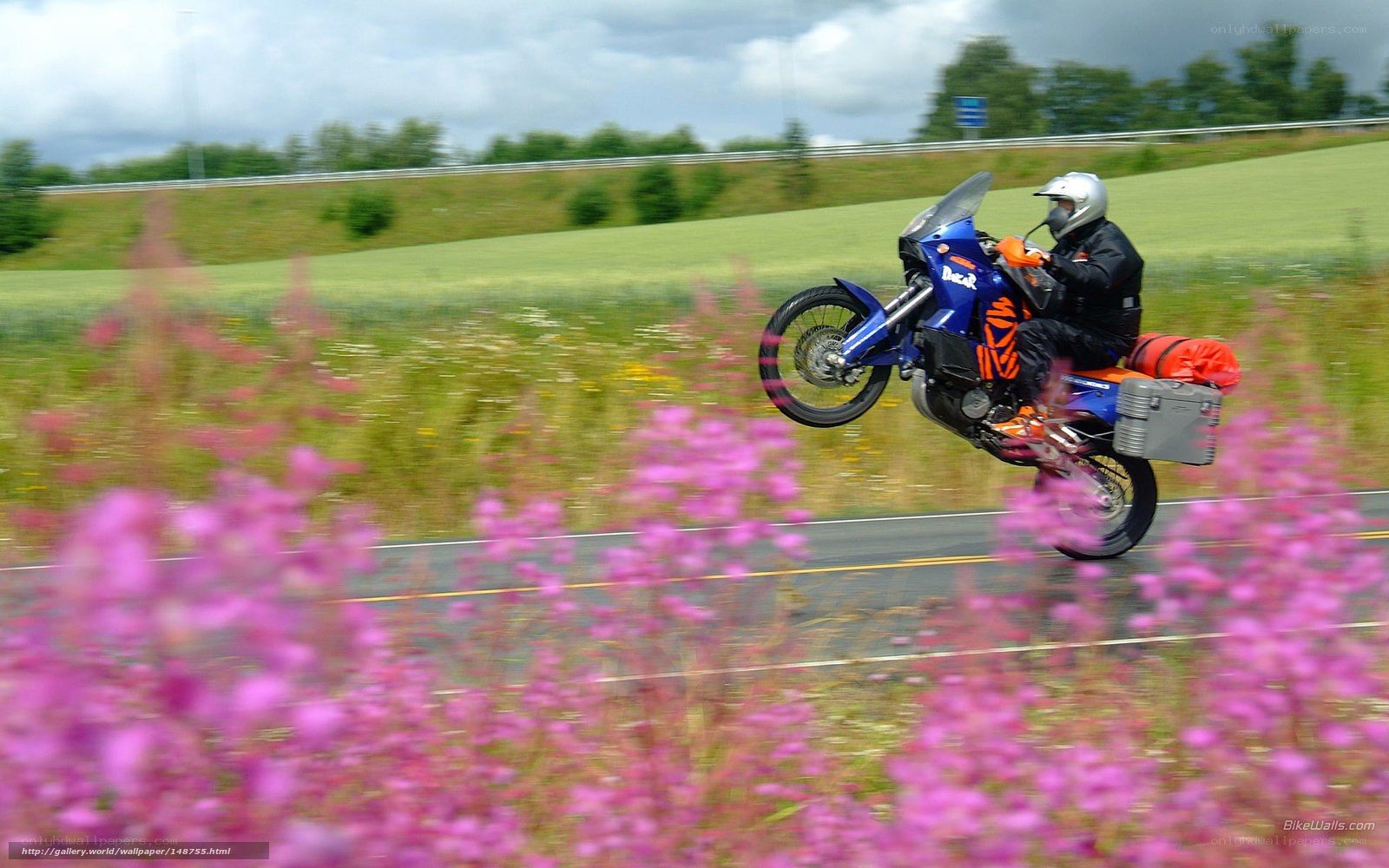 Motorcyclist on a country road