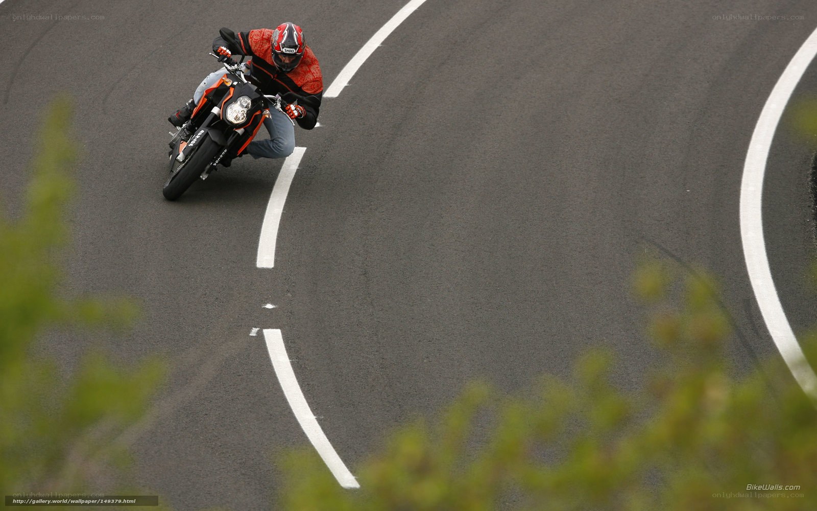 Motorcyclist on a curved road