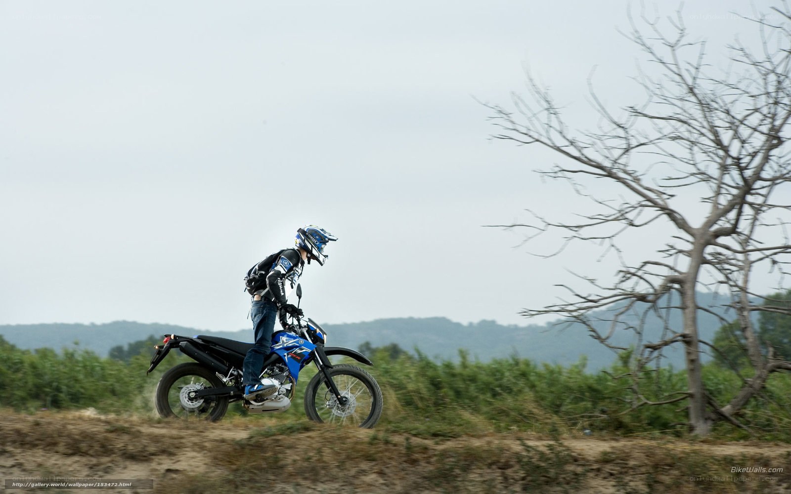 Motorcyclist on a dirt path