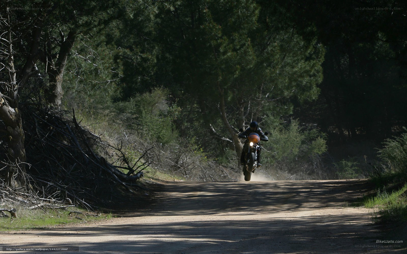 Motorcyclist on a forest path