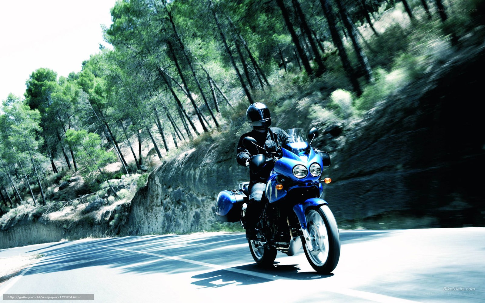 Motorcyclist on a forest road