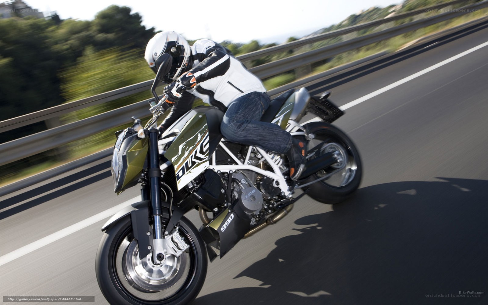 motorcyclist on a highway
