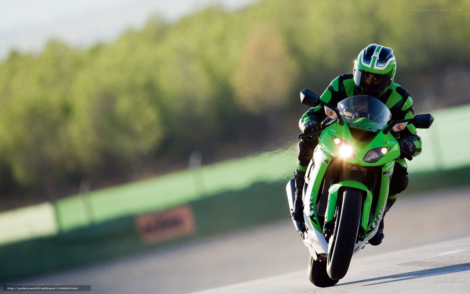 motorcyclist on a racetrack