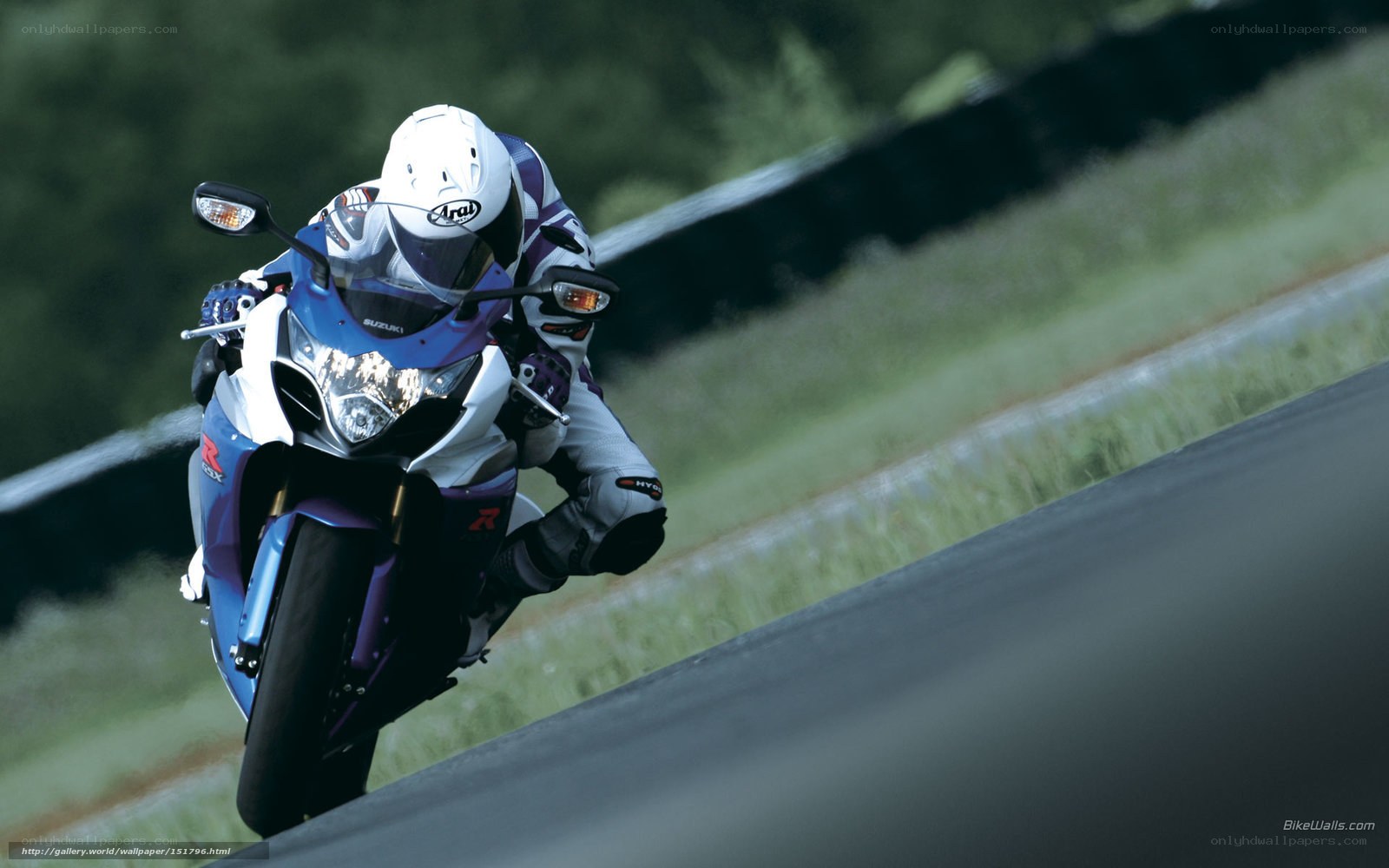 motorcyclist on a racetrack