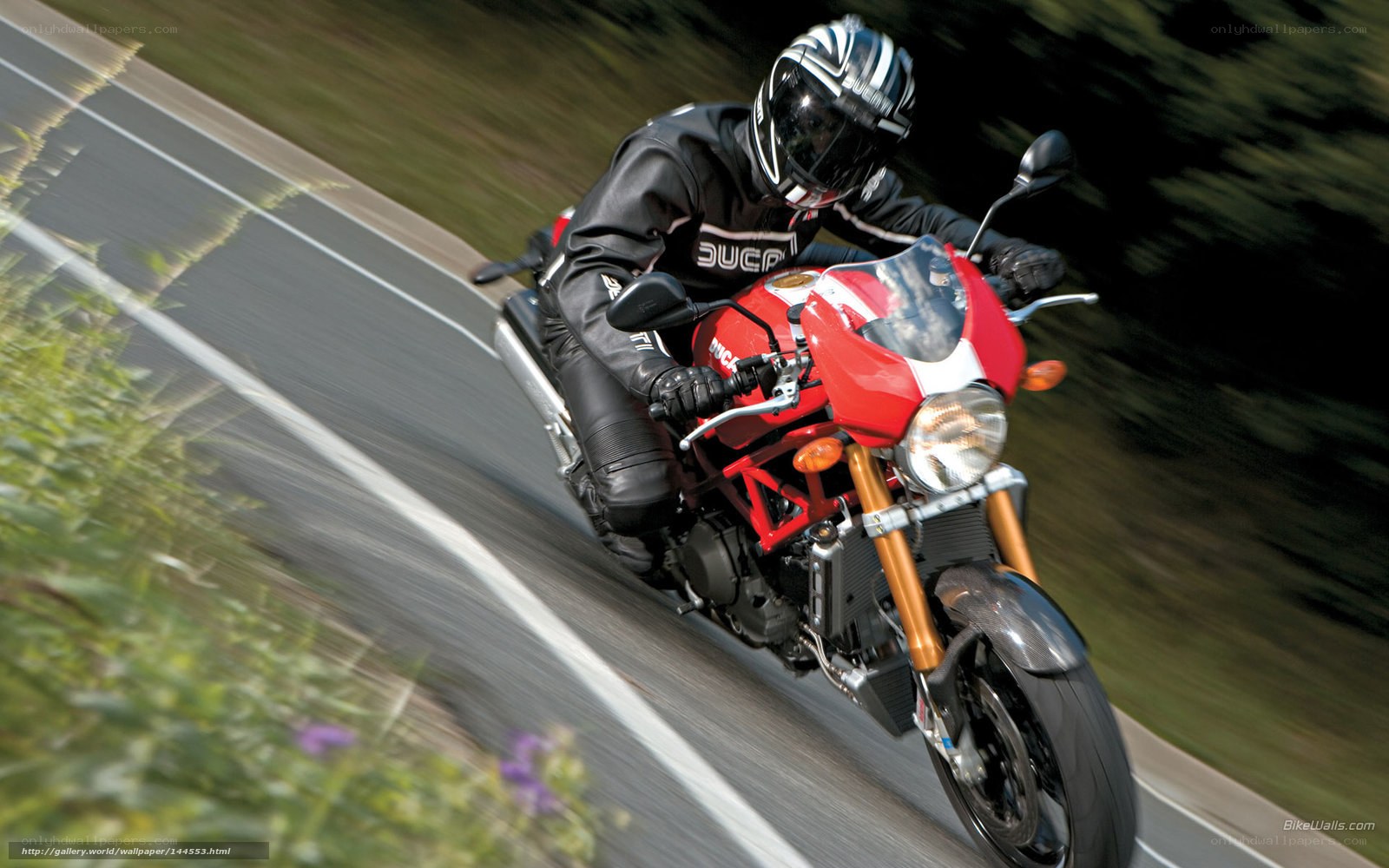 motorcyclist on a red bike