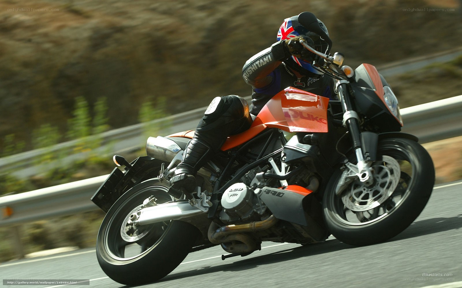 motorcyclist on a road