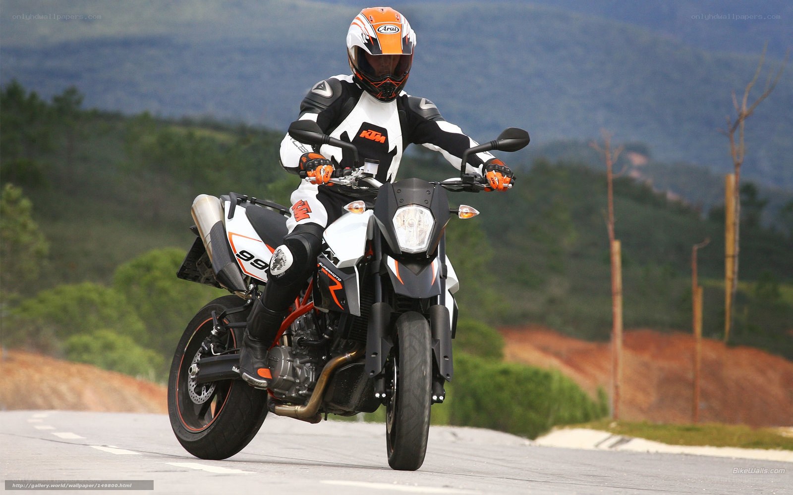 motorcyclist on a road