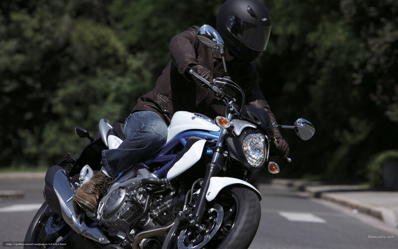 motorcyclist on a road