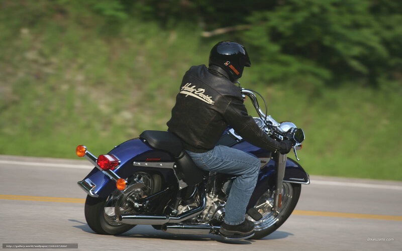 Motorcyclist on a road